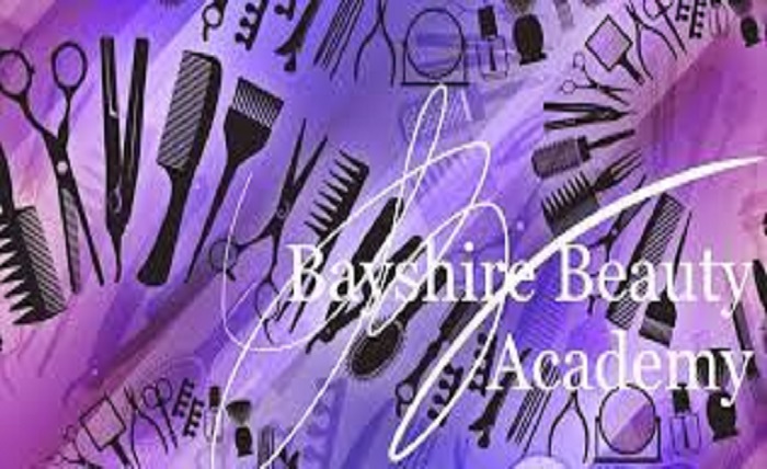 Bayshore Academy of Beauty Craft inc Loan