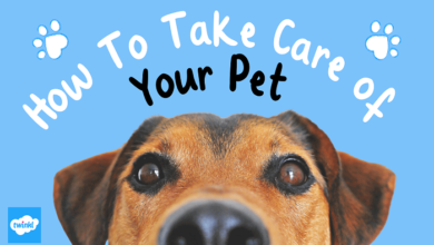 Pet Care Guide