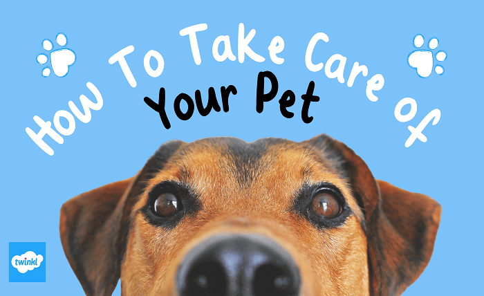 Pet Care Guide